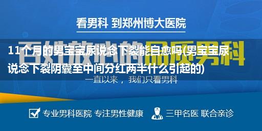 11个月的男宝宝尿说念下裂能自愈吗(男宝宝尿说念下裂阴囊至中间分红两半什么引起的)